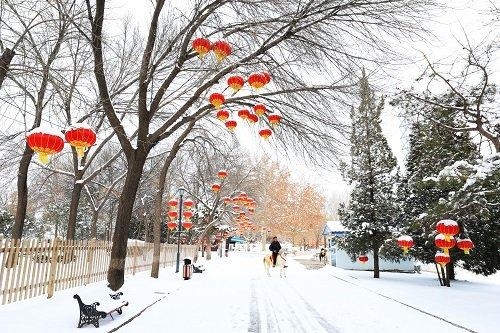 北京世界公园：迎瑞雪 度新春