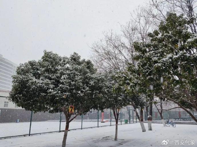 中到大雪！局地暴雪！西安最新通知：停运！停运！