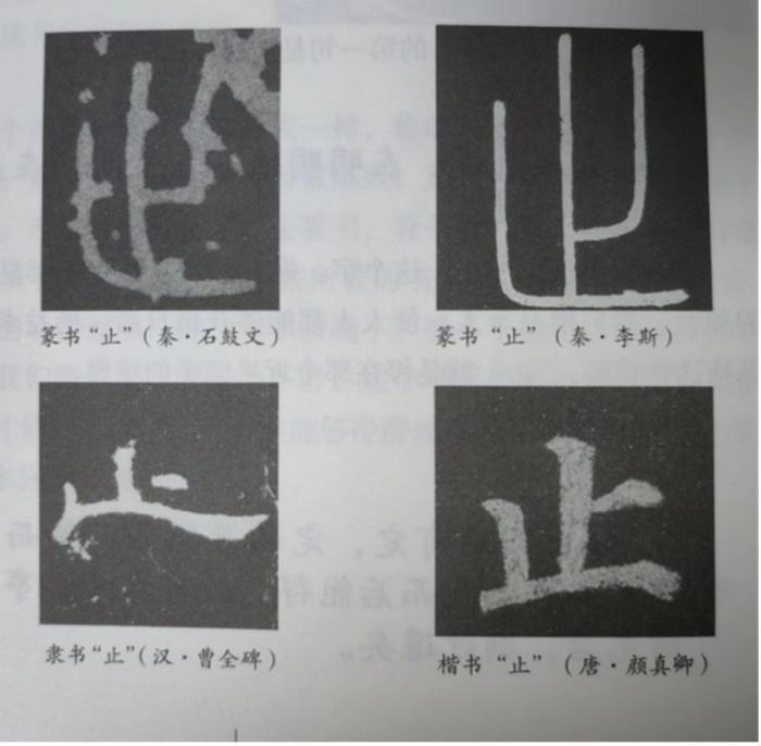 为什么说汉字是灵动的舞者？看了这本书就明白了