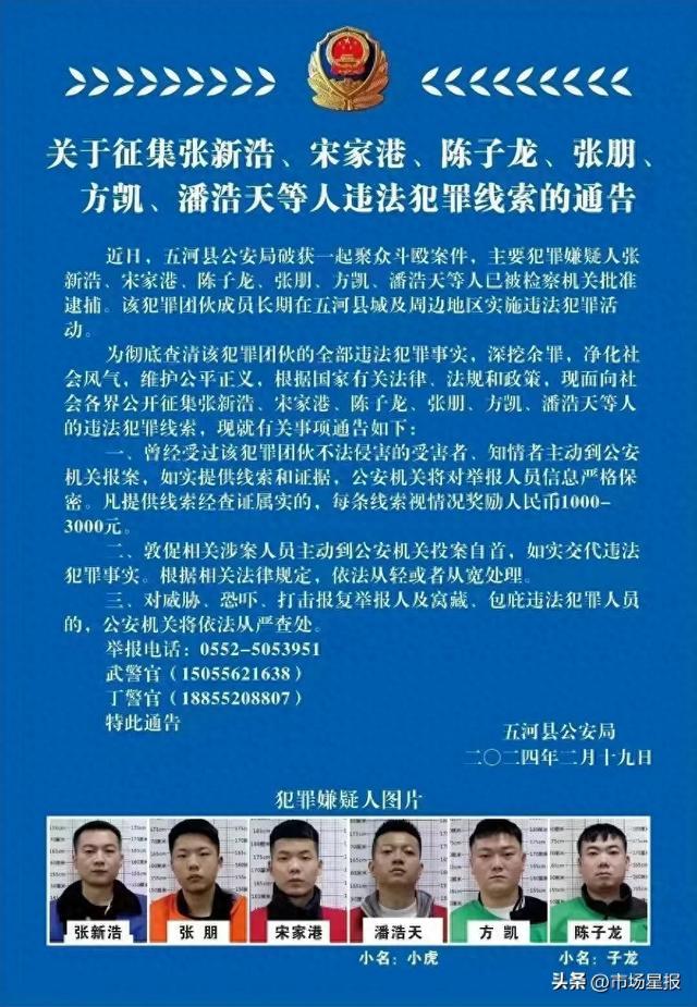 安徽警方关于征集张新浩、宋家港、陈子龙、张朋、方凯、潘浩天等人违法犯罪线索的通告