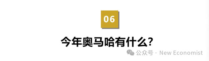 重磅！巴菲特2024年股东信全文来了：永远不要冒资本永久损失的风险