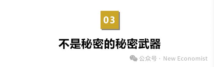 重磅！巴菲特2024年股东信全文来了：永远不要冒资本永久损失的风险