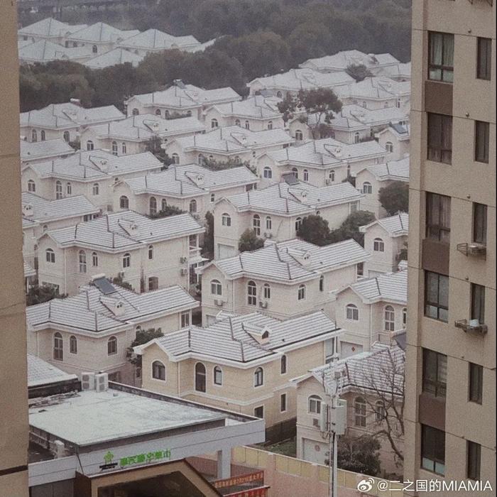 “上海终于下雪了，没白冷！”今晨徐家汇跌破冰点，多地飘雪！下周起气温回升