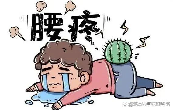 世界肾脏日＆健康科普 | 腰疼是得了肾病吗？