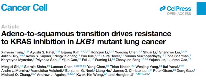 前沿 | 预测KRAS抑制剂应答！《细胞》子刊揭癌细胞耐药关键