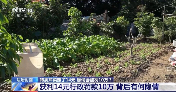 居民帮邻居们转手黄瓜赚了14元,却被罚金10万?!高等法院判决:不用交纳!(图1) 居民帮邻居们转手黄瓜赚了14元,却被罚金10万?!高等法院判决:不用交纳!(图1)