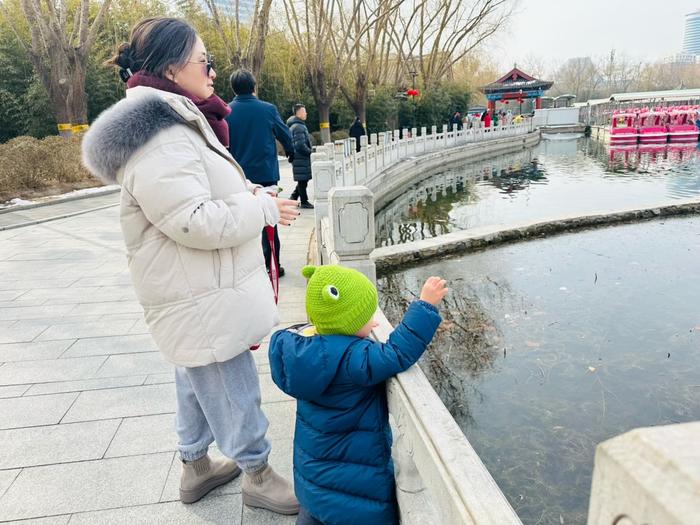 两只赤麻鸭飞临莲花池公园