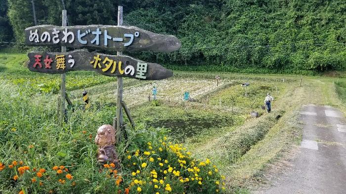 传承无核之火：日本民间悠久的反核力量