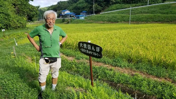 传承无核之火：日本民间悠久的反核力量