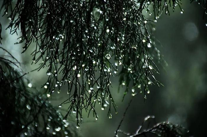 两轮冷空气！江西又要下雪，时间就在……