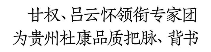 甘权、吕云怀等专家集中“阅卷”，贵州杜康新品成色几何？