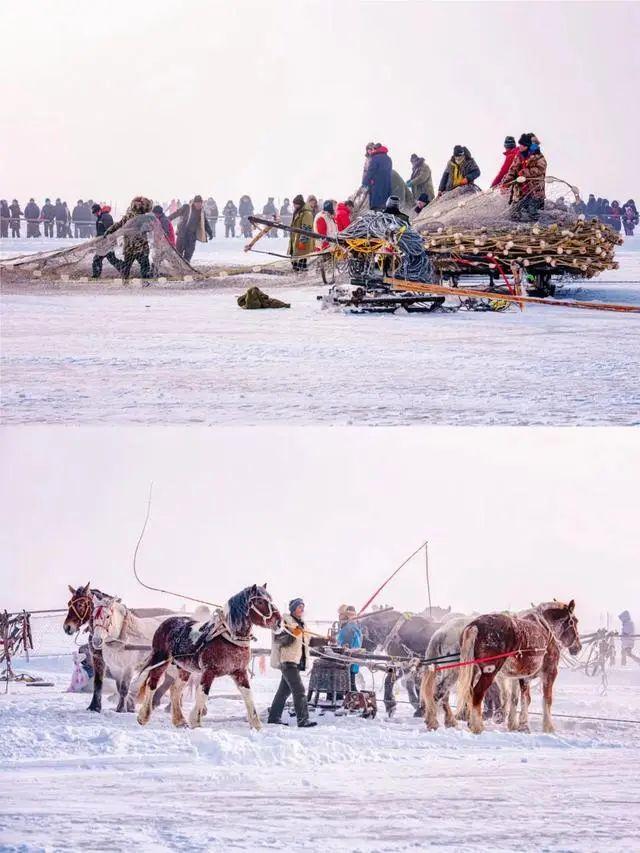 人民日报关注吉林：从“躲雪猫冬”到“借雪生金”