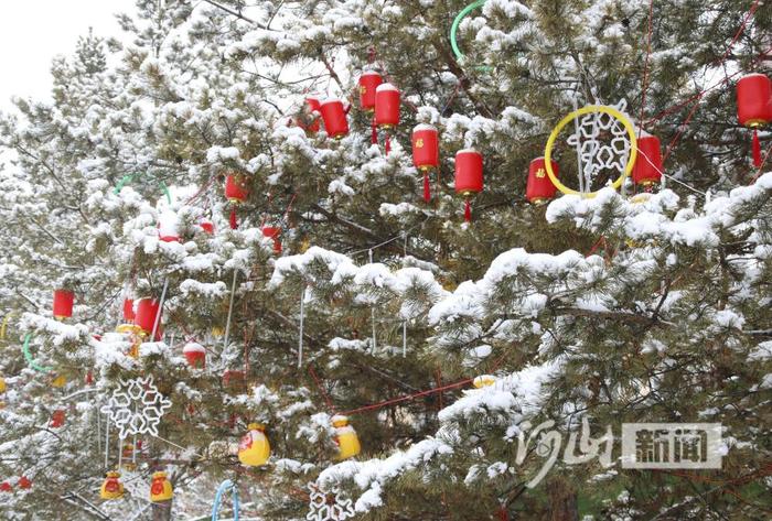 绵绵春雪润张垣 雪打花灯兆丰年