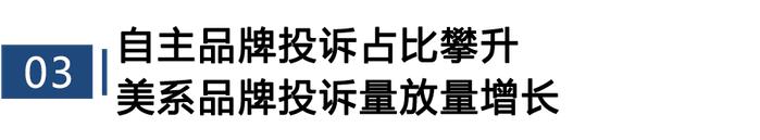 2023年度国内SUV投诉分析报告