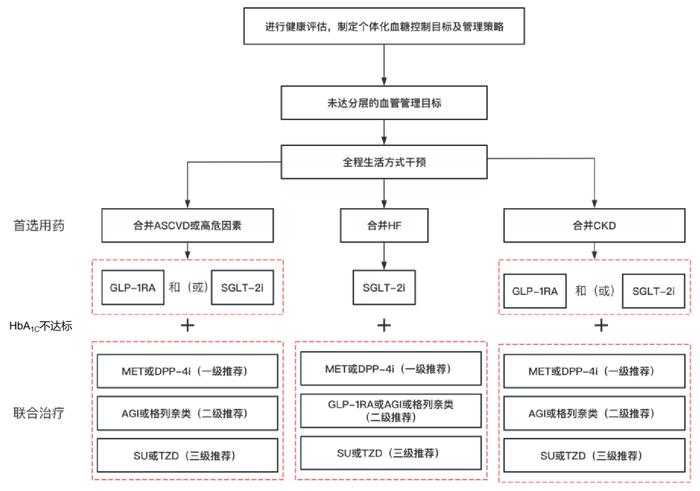 老年糖尿病诊治指南2024版更新，这7个要点你肯定想知道！