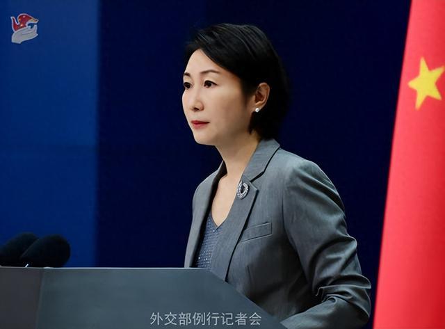 毛宁资料图。图源:外交部网站
