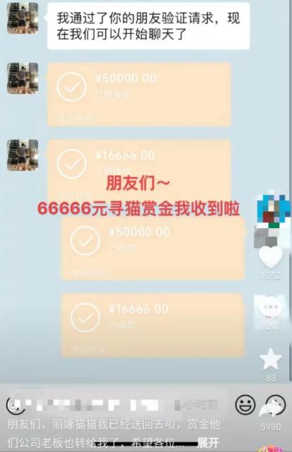 昆明一女生捡到猫咪获66666元奖金，被质疑是炒作！失主回应