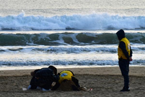 韩媒：韩国浦项市海滨浴场一周内两次发现疑似人骨碎片