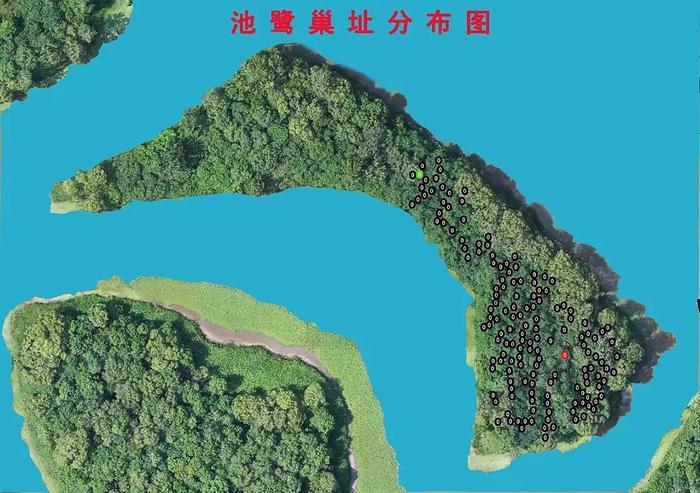 汉石桥湿地，一个蕴藏着“野生动植物宝藏”的地方