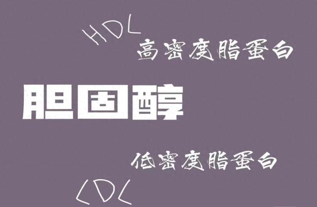 汤医科普｜血液中的“好”胆固醇与“坏”胆固醇