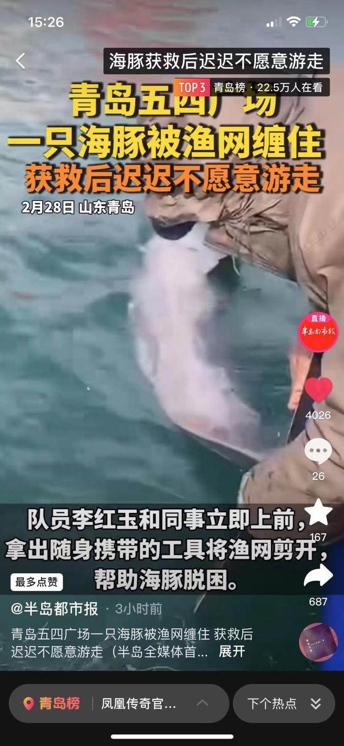 事发青岛五四广场！一只海豚被渔网缠住……