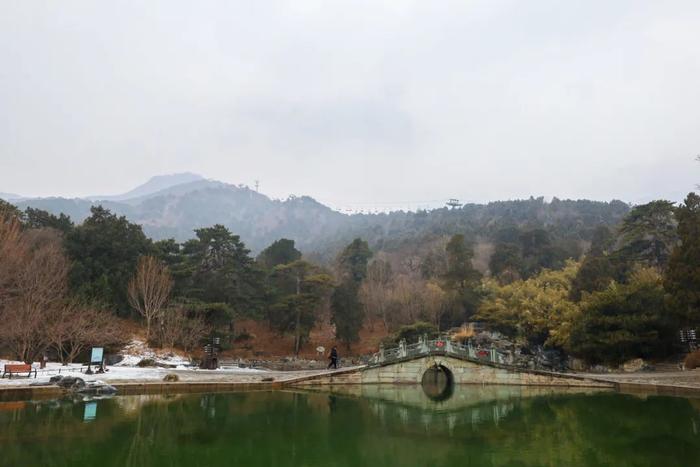 带您走过香山里的二十四节气｜惊蛰