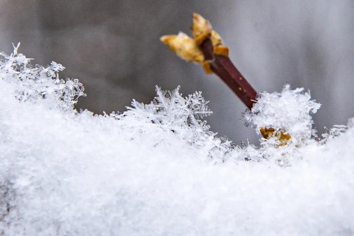 惊蛰遇春雪~延庆如诗如画！延庆乡亲扫雪忙