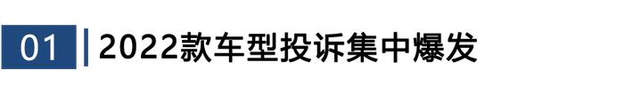 2023年度国内MPV投诉分析报告