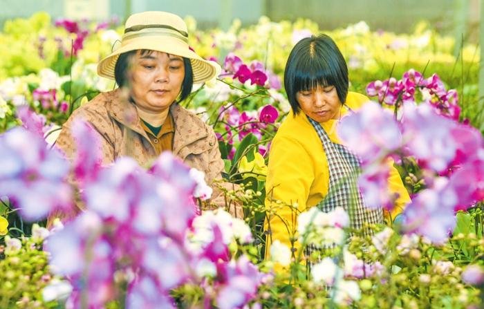 惊蛰来了！冷空气也要来了！海口天气有变化→