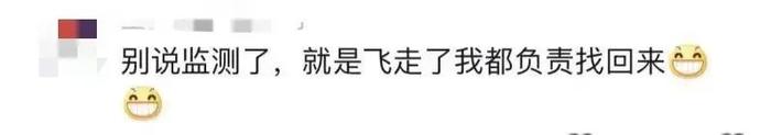 特适合i人？这份日薪300元包食宿的工作火了！真相是……