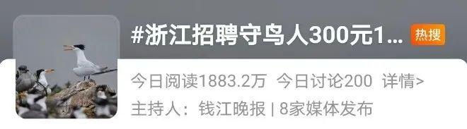 特适合i人？这份日薪300元包食宿的工作火了！真相是……