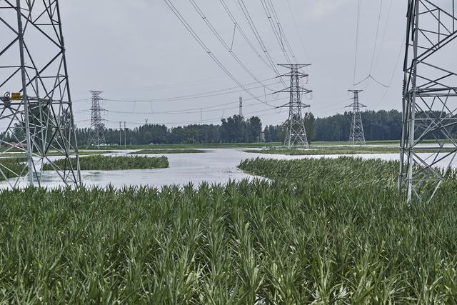 气候变化灾害加速，需全面检视城市的适应能力｜底线城市