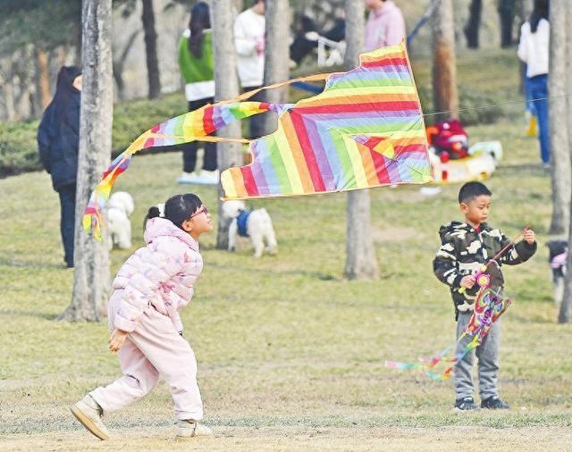 最高21℃！郑州气温回升，暖意踏春来