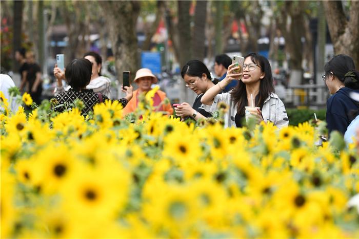 二月二，抬头见春！海口接下来的天气……