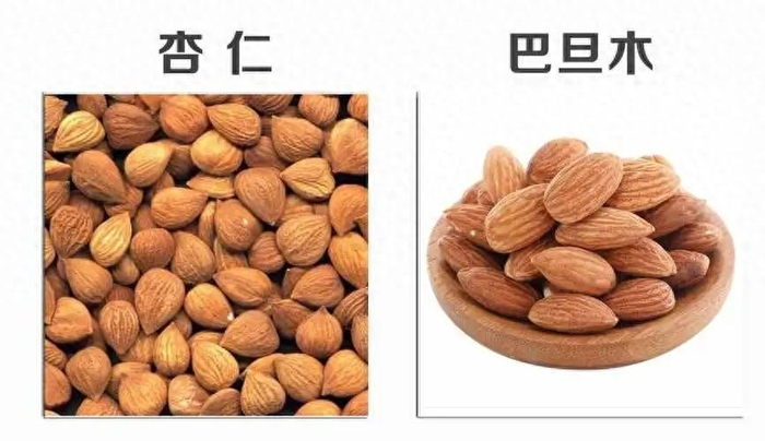 巴旦木是什么东西 巴旦木产地和营养价值