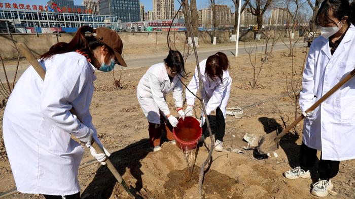 北京农学院五十余名师生植树节种下百余棵果树