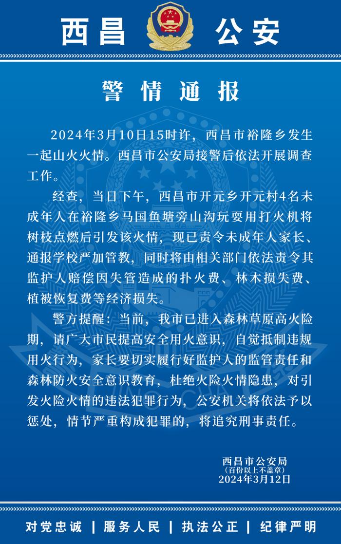 西昌警方：4名未成年人玩耍点燃树枝引发山火，已责令监护人赔偿损失