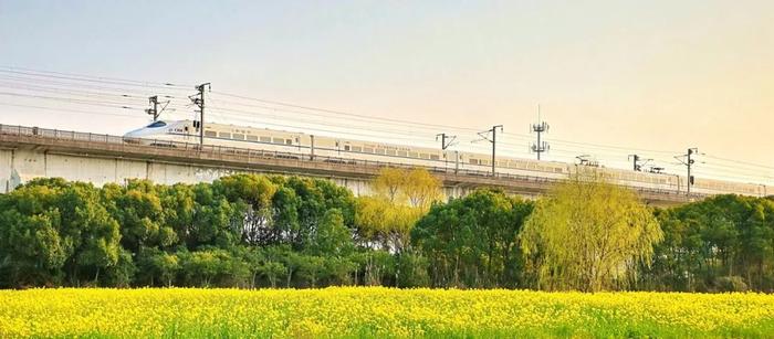 【最新】2024年长三角铁路春游运输方案出台→