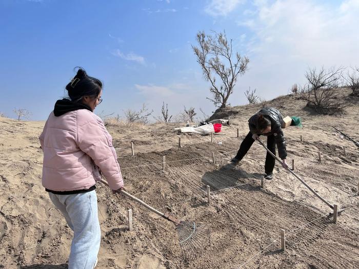 我科研人员发明膨润土固沙和生态治理新技术