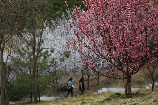 牟山湿地公园的春季，你去打卡了吗？