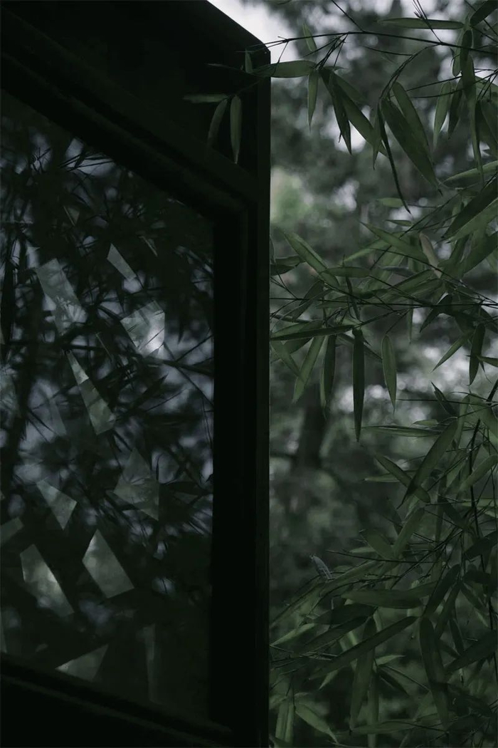 西窗竹 竹林清风 竹幽然 关于竹子的诗句，我最喜欢李白的《下终南山过斛斯山人宿置酒》：绿竹入幽径