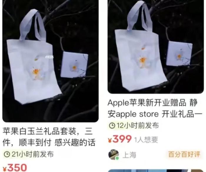 苹果CEO库克现身上海，为这家“最高规格”旗舰店？“偶遇”郑恺、见比亚迪董事长…