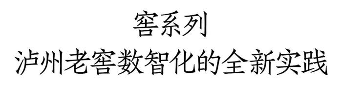 发力大众消费市场，泸州老窖全新战略品系“窖系列”春糖首发