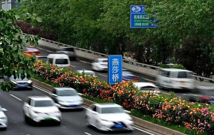 北京朝阳要建的花园城市，到底什么样？