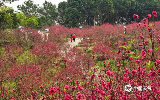 最高36℃！广西天气即将送出“初夏体验卡”