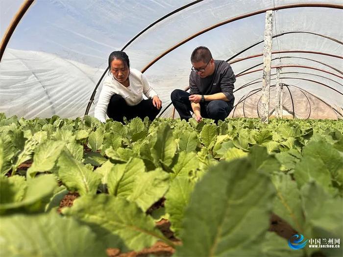 春耕备耕正当时｜春分时节耕作忙 城关区已完成650亩粮食作物种植