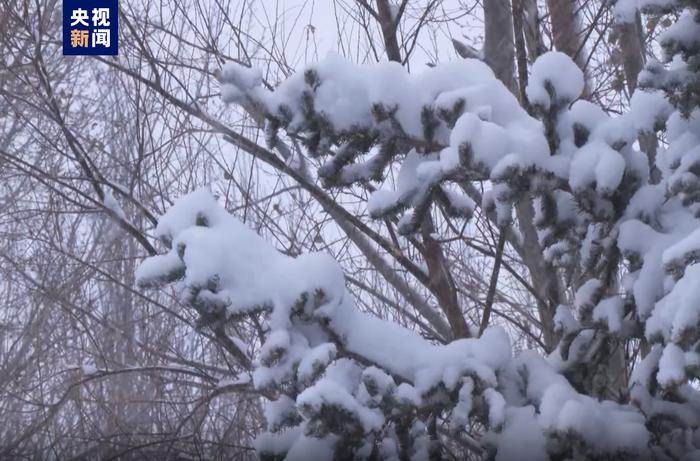 内蒙古通辽市出现大范围降雪，最大降雪量7.7毫米