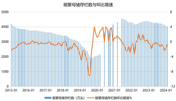 猪价、期货、股价共振，“猪周期”的春天来了吗？