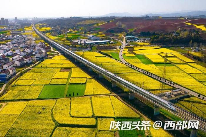 开往花海的专列！西安开行2024年首趟油菜花旅游动车