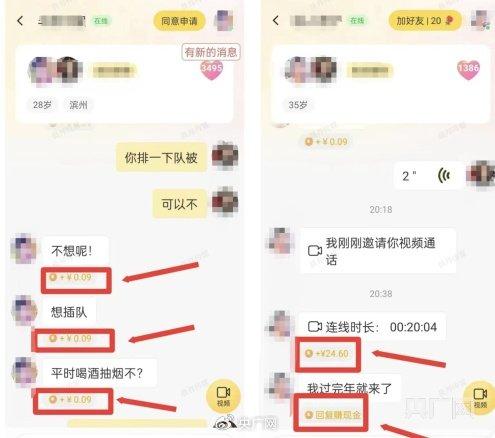 “聊天员”界面显示每条回复获得的收入(央广网发)